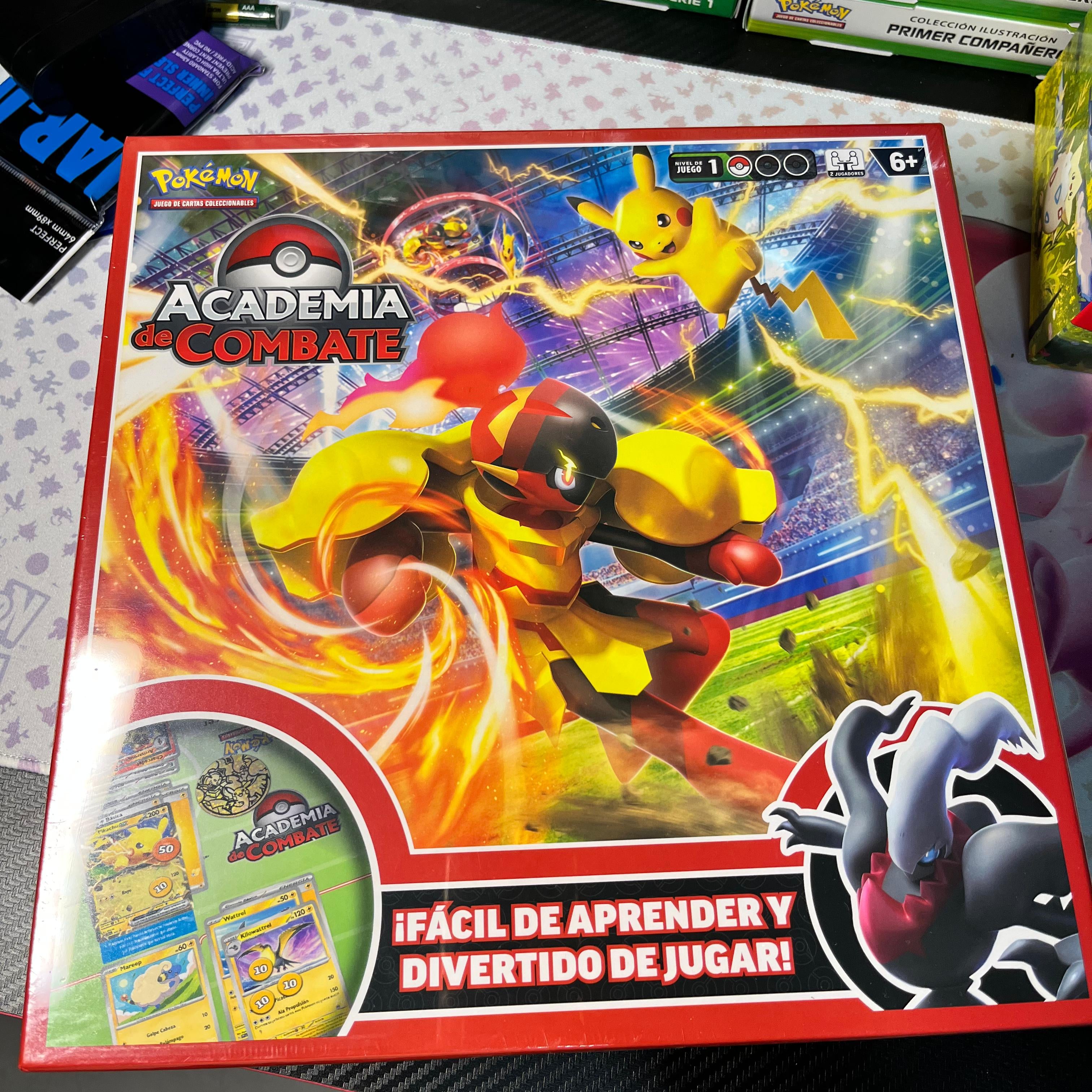 ACADEMIA DE COMBATE 2024